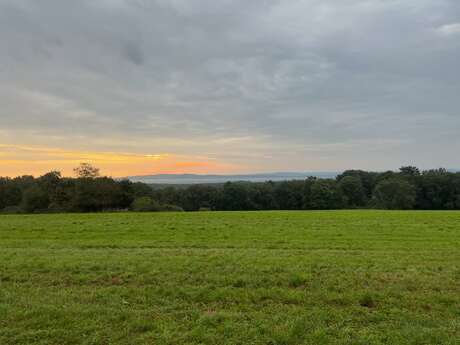 La Traversée des Baudiches - n°12