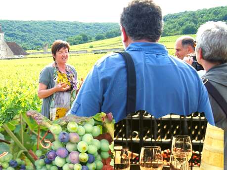 Clos de Bourgogne, les escapades "secrets de la vigne au vin"