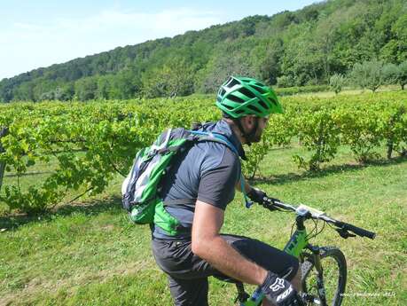 Le Mont Varin - n° 20