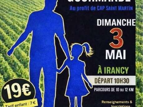 Marche gourmande à Irancy