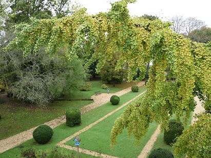 Visite guidée - Le parc à travers le temps