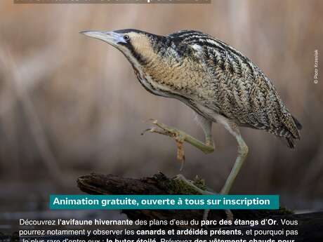 Sortie Nature