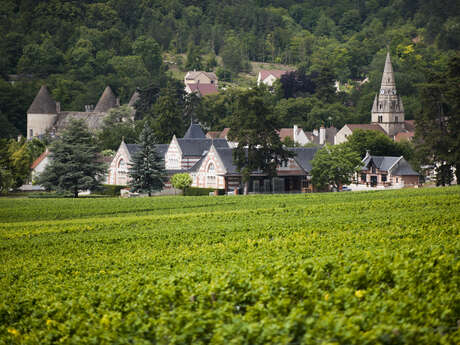 Savigny, ainsi va la vigne