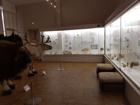 Museum d'Histoire Naturelle Jacques de La Comble Museum d'Histoire Naturelle Jacques de La Comble