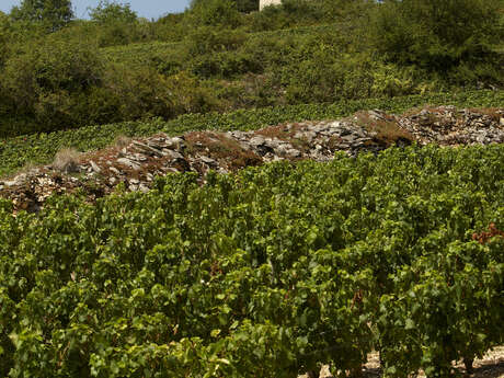 Visite guidée « Découverte contée du Moulin Sorine en compagnie de Madeleine »