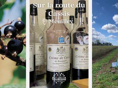 Voyage sur la route du cassis