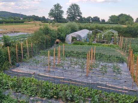 Visite du potager
