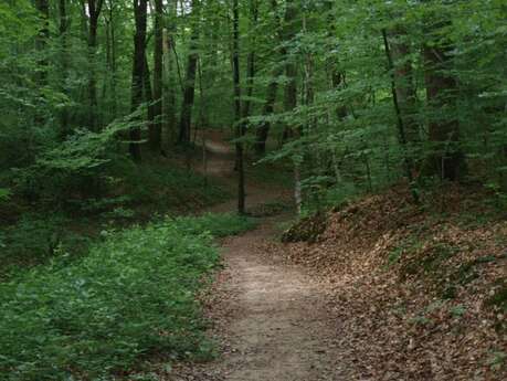 Parcours de santé à Châtenois