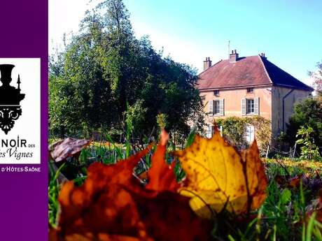 Le Manoir des vieilles vignes