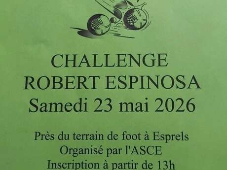 Concours de pétanque