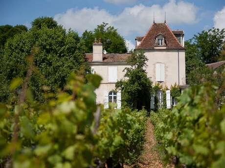 Caveau et Table d'Hôtes du Comte  Senard