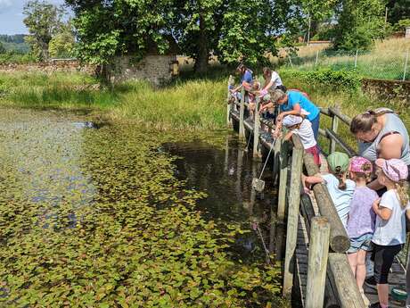 Ca grouille chez les grenouilles ! Animation nature