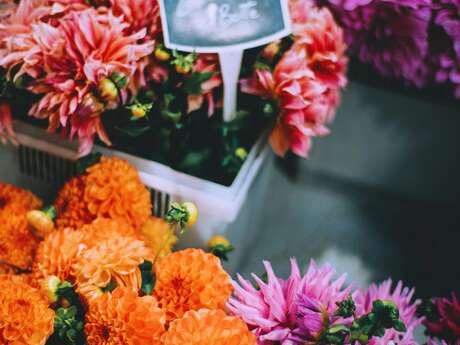 Foire aux fleurs & jardins