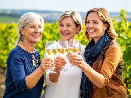 Wine Tour : Dégustation parcellaire au coeur des vignobles de Bourgogne