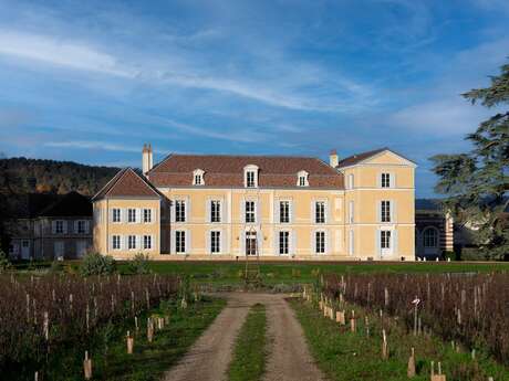 Apéro avec VUE - Château de Meursault