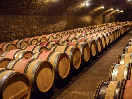 ACTIVE TOURS NUITS