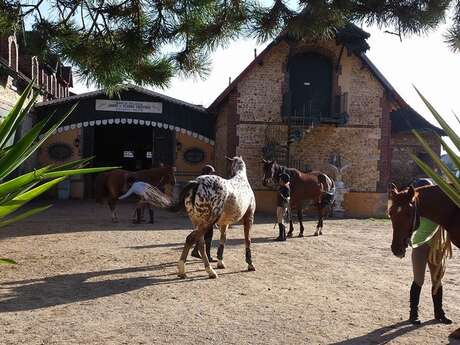 Domaine Équestre - Haras de Villechétive