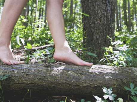Morvan Autrement : Le Sud Morvan c'est le pied !