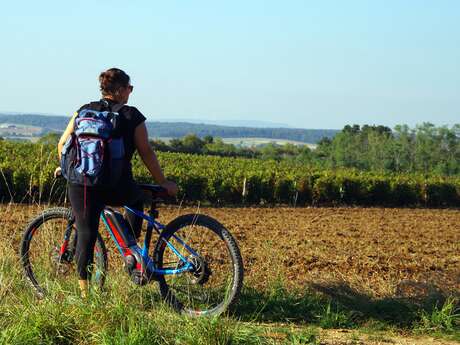 La Pierre qui Vire - n° 19