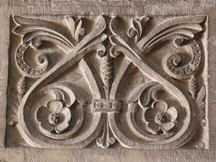 Activité familles "plantes cachées"