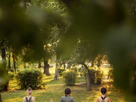 Séances de Yoga aux jardins Acorus