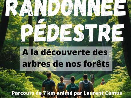 Randonnée spéciale "arbres de nos forêts" à Vellefrey