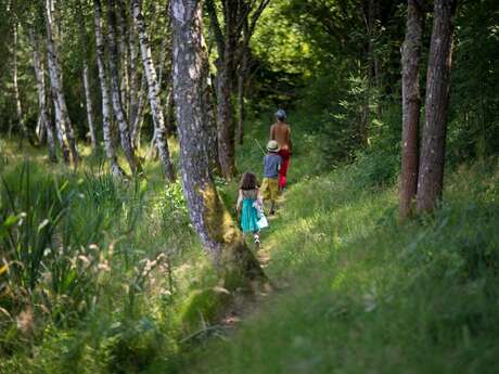 Balades et randonnées à pied en Morvan