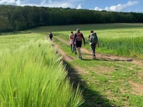 Randonnée "Plantes aromatiques" à Gézier