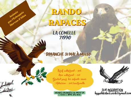 Rando Rapaces