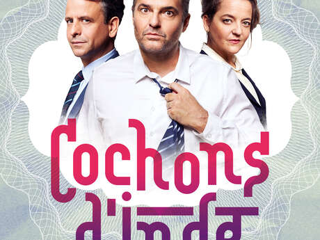 Cochon d'Inde
