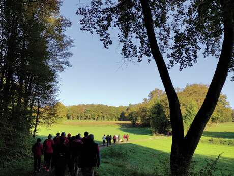 Trail des dolines