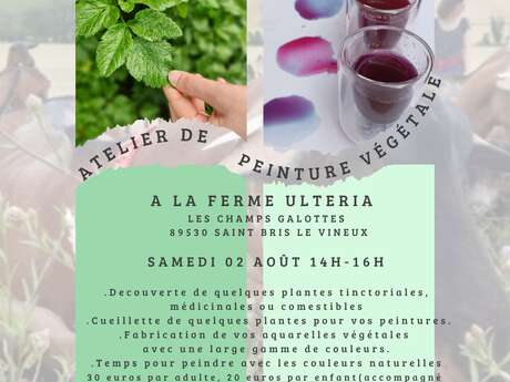 Atelier de peinture végétale