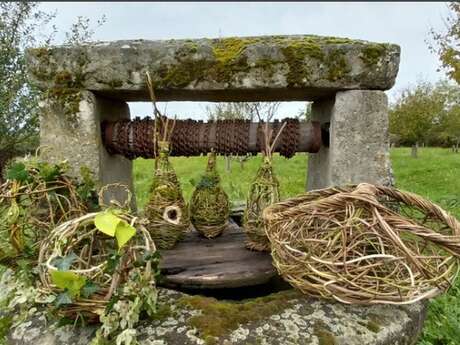 Stage de vannerie sauvage