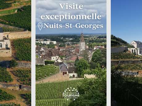 Visite exceptionnelle à Nuits-Saint-Georges : le Château Gris