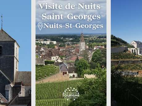 Visite guidée de Nuits-Saint-Georges