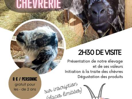Visite guidée de la chèvrerie "La Chèvre Grisette". Visite guidée de la chèvrerie "La Chèvre Grisette".