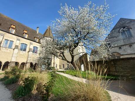 Visite de Beaune "entre cours & jardins"