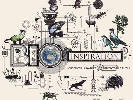 Ateliers bio inspiration au museum pour les 4/6 ans