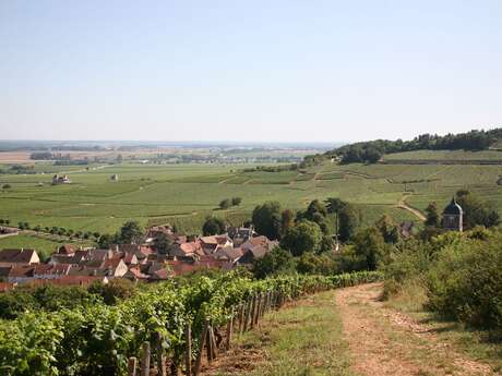 Journée Thématique : "Au cœur des climats de Beaune"