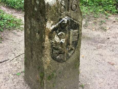 Boucle pédestre : sur les rives de la Vosogne