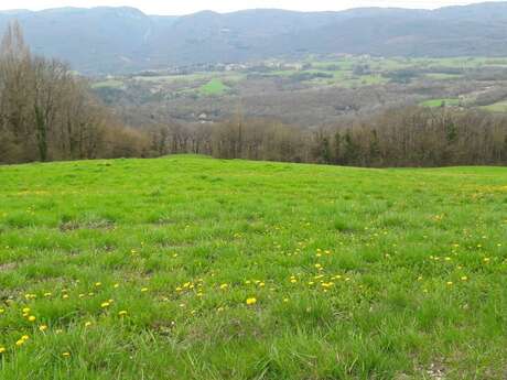 Randonnée pédestre - Le Plateau des Daines