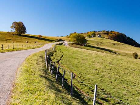 Aller cyclo : Col de la Croisette versant ouest