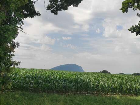 Escapade dans la campagne Suisse