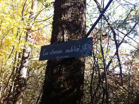 Boucle pédestre : le Chemin oublié