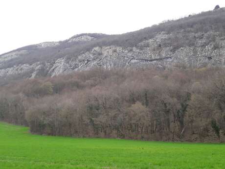 Randonnée pédestre - L'Alpage du Vuache