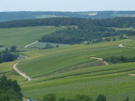 Sur la Route des Cisterciens