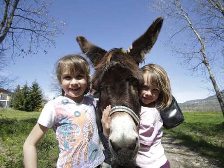 Sentier pédestre : sens et découverte des animaux de la ferme