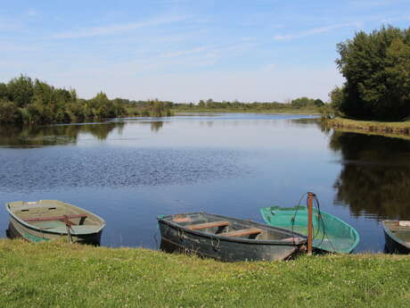 Balade découverte du marais