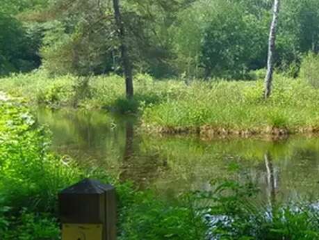 🐸 A la découverte d’un marais exceptionnel !