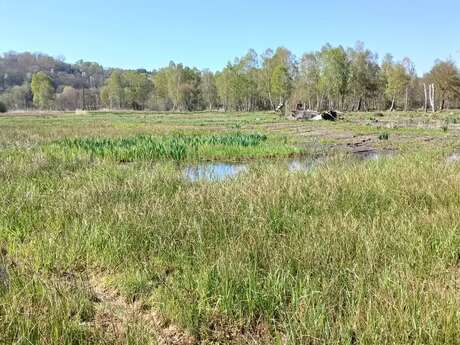 Un pâturage vachement bien rodé !